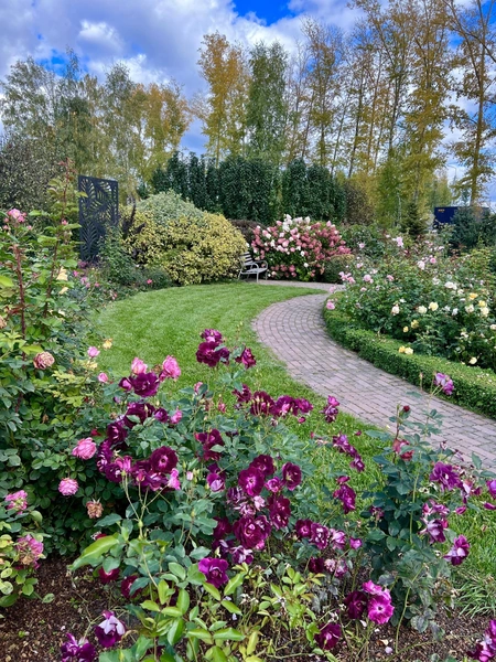 Здесь можно полюбоваться на разные цветы | Источник: «Сияние»