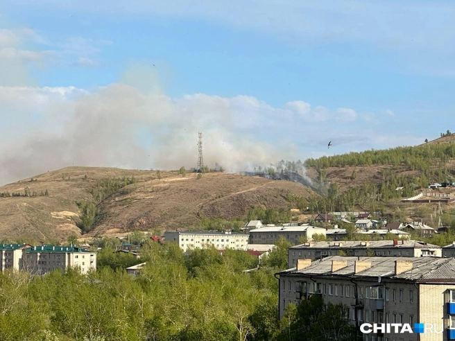 Титовская сопка опять в огне — видео | Источник: Артём Стромилов / CHITA.RU