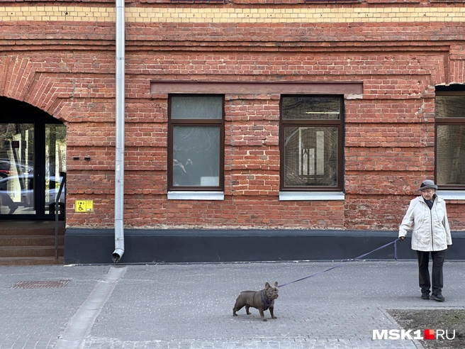 Главный вход в музей | Источник: Андрей Кузнецов / MSK1.RU