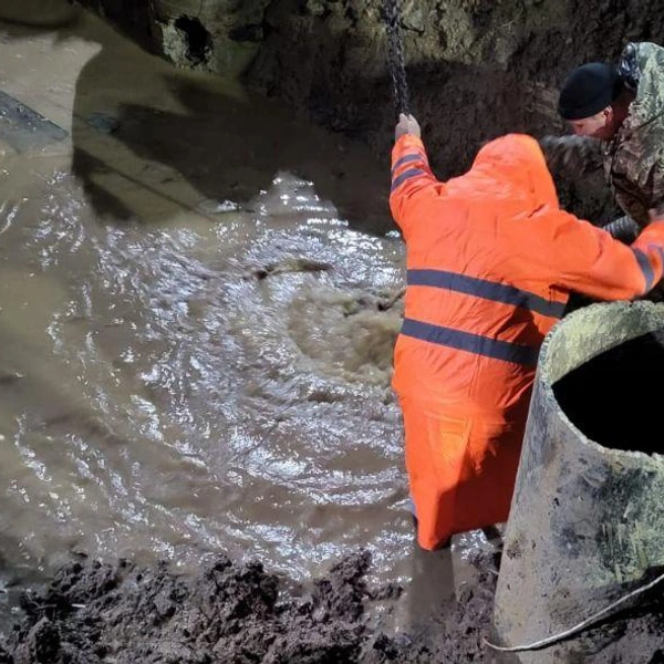 Источник: Прокуратура Ленинградской области