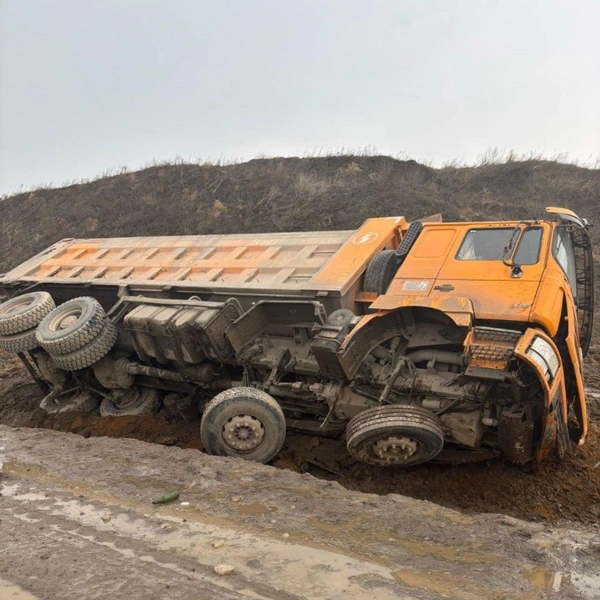Источник: Официальный телеграмм-канал ГУ МВД России по Санкт-Петербургу и Ленинградской области