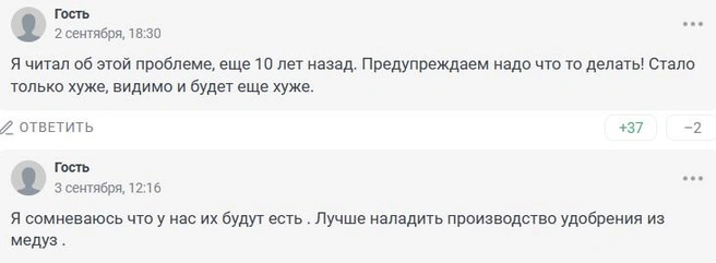 Источник: 161.RU
