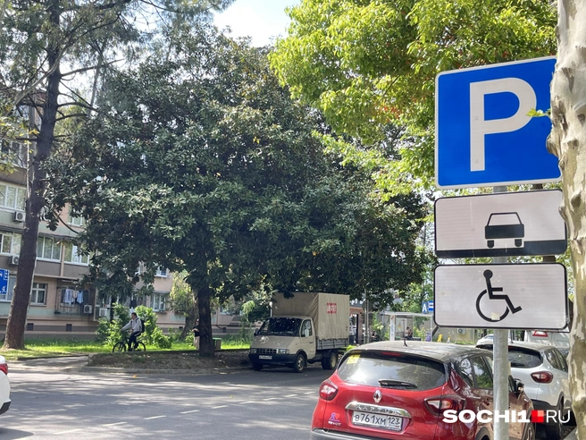 Для многодетных на парковку есть ограничения | Источник: Анна Грицевич / SOCHI1.RU