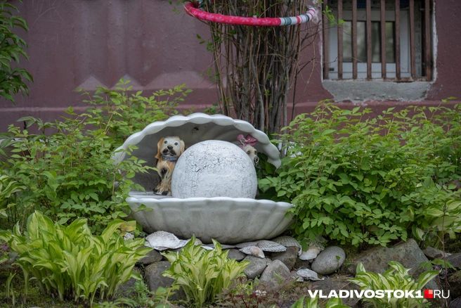 Источник: Елена Буйвол / VLADIVOSTOK1.RU