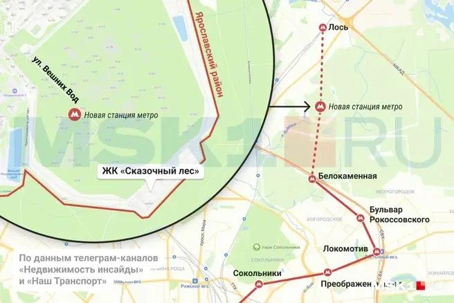 Источник: Мария Романова / MSK1.RU