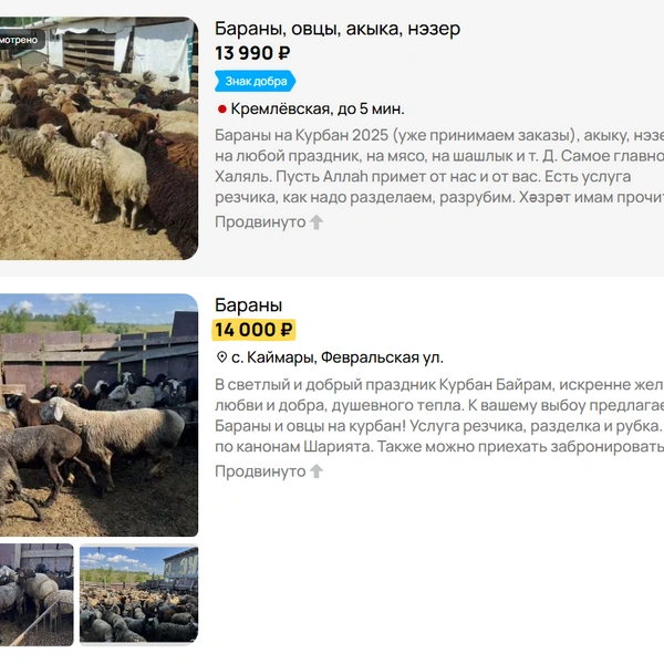 Источник: Avito.ru