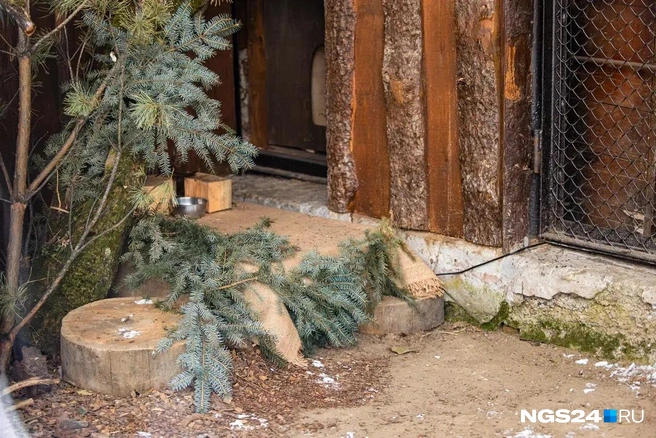 Под этим ковриком спрятаны электронные весы | Источник: Мария Ленц / NGS24.RU