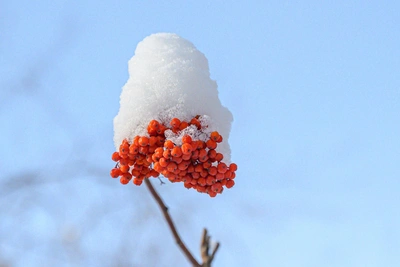 Якутск ждет теплая и солнечная неделя