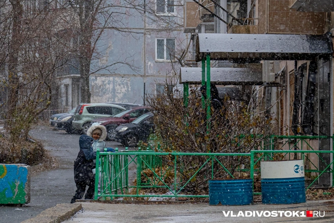 Источник: Елена Буйвол / VLADIVOSTOK1.RU