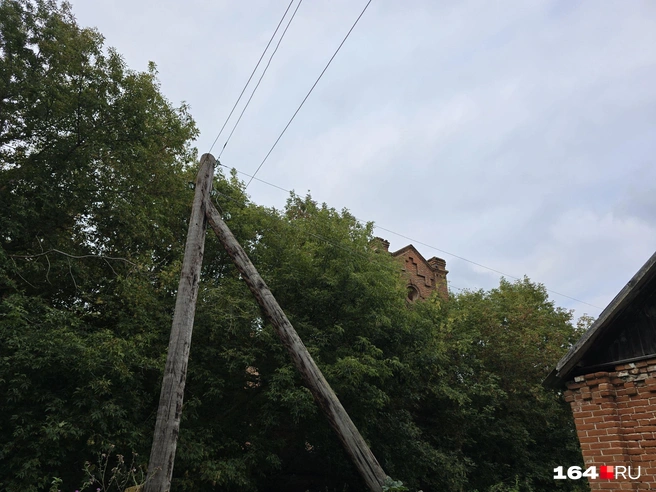 Летом мельницу Борелей из села почти не видно за деревьями | Источник: Семен Коротов-Майбах / 164.RU