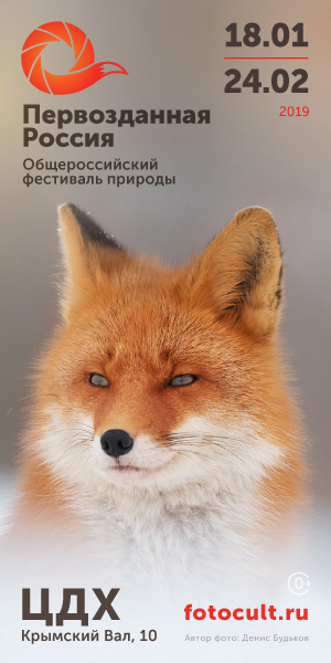 Фото №1 - День РГО и День севера на фестивале «Первозданная Россия»