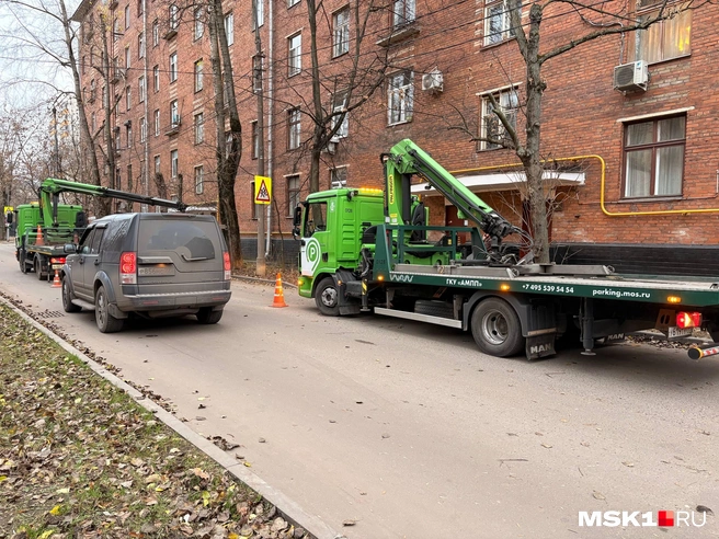 Источник: Валерия Животовская / MSK1.RU