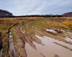 Красноярский край получил 100 млн рублей на сельские автодороги | ngs24.ru