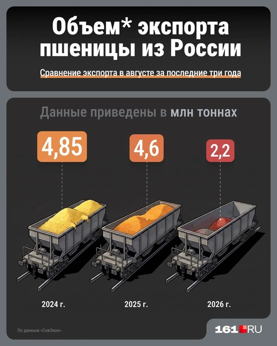 Объем экспорта зерна в России. Показатели этого года совсем не радуют | Источник: Серафима Пантыкина/ Городские медиа