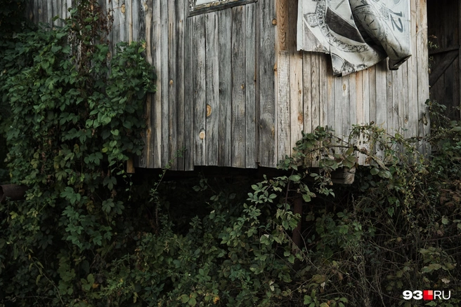 Постройка, которая используется как склад, сохранилась только благодаря сваям | Источник: Дарья Паращенко / 93.RU