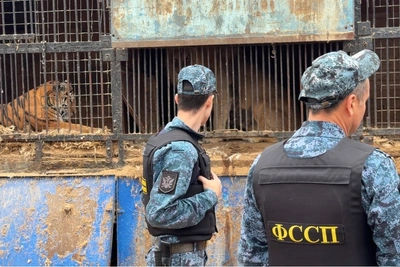 Деятельность зоопарка «Саванна» приостановлена на 30 суток
