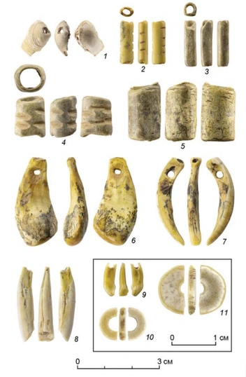 Украшения из Денисовой пещеры: 1 — подвеска из раковины, 2-5 — пронизки из трубчатых костей, 6-9 — подвески из зубов млекопитающих, 10,11 — бусины из скорлупы яиц страуса | Источник: Михаил Шуньков и др. / Проблемы археологии, этнографии, антропологии Сибири и сопредельных территорий, 2023