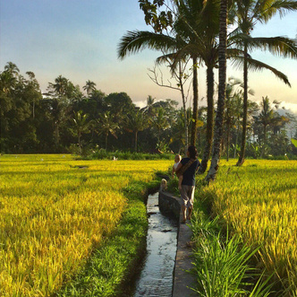Переезд на Бали: где жить, чем заниматься, работа, люди, отношения