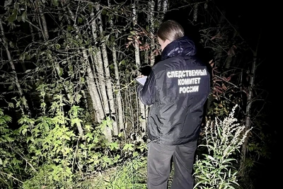 Медведь растерзал охотника в Вологодской области