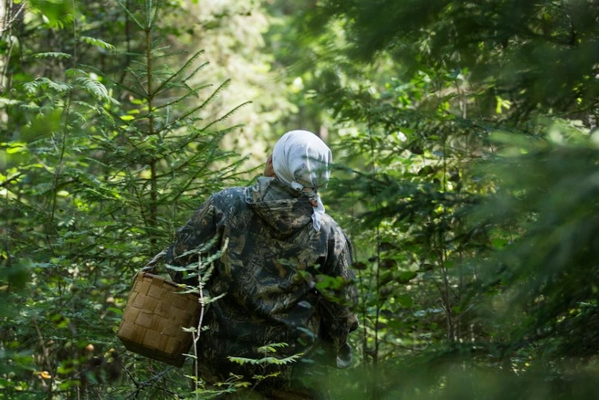 «Ты просто не умеешь их готовить». Токсиколог рассказал, как поесть сморчков и строчков и не отравиться | Источник: Мария Дмитриенко / ТАСС