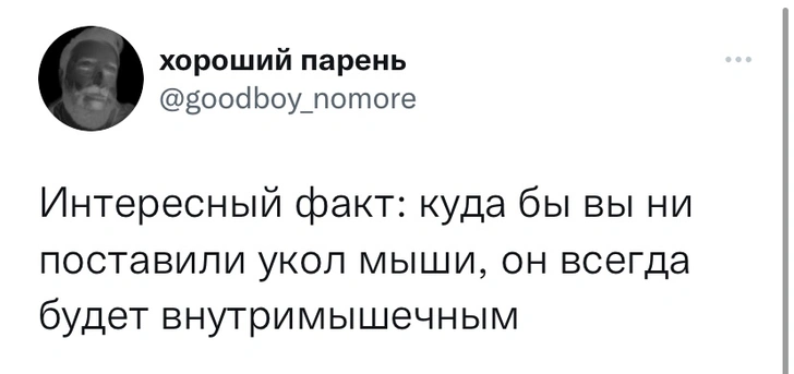 Шутки среды и сексуальные партнерши Винни-Пуха