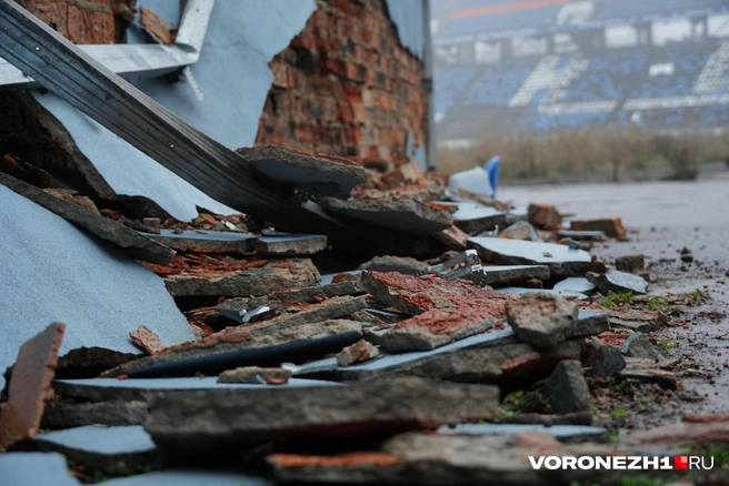 Источник: Дмитрий Волгин / Voronezh1.ru