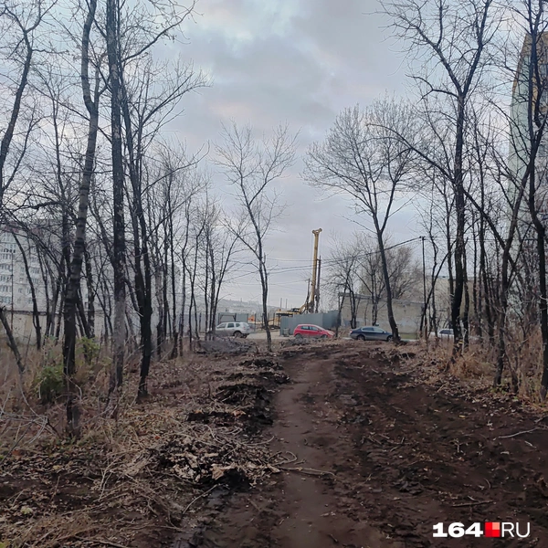 Источник: Сергей Гендин / 164.RU