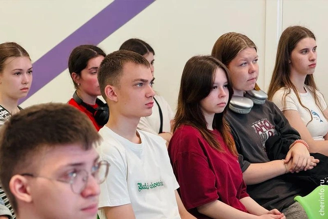 Источник: st.cherinfo.ru