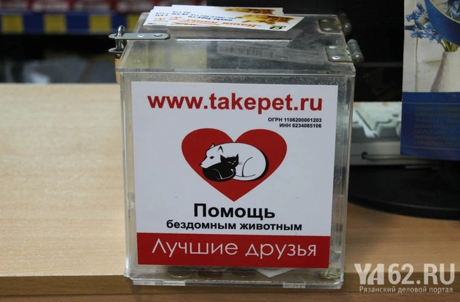 копилка «Лучших друзей»