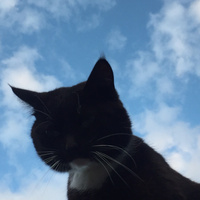 Аватарка Дарья