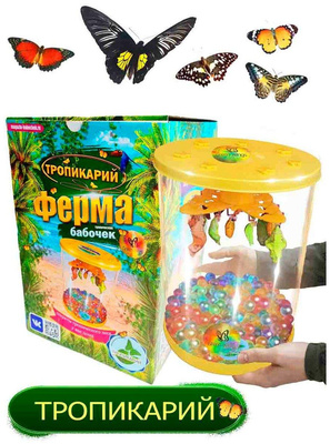 Ферма бабочек «Тропикарий»