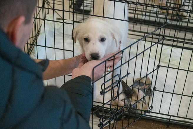 Источник: Елена Буйвол / VLADIVOSTOK1.RU