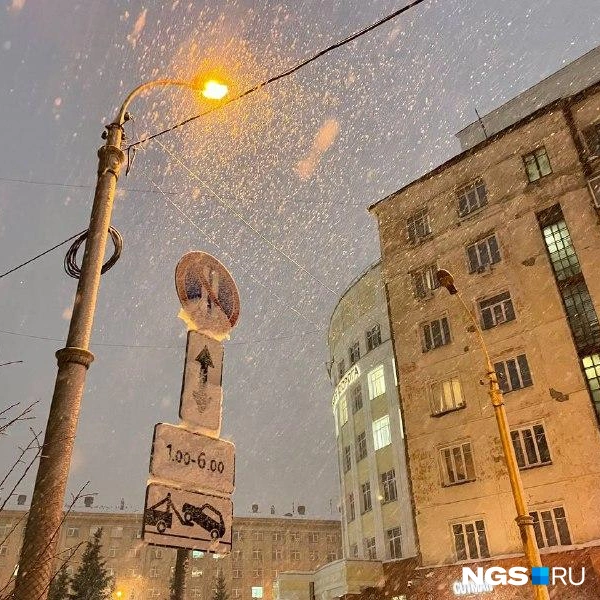 Источник: Александр Ощепков / NGS.RU