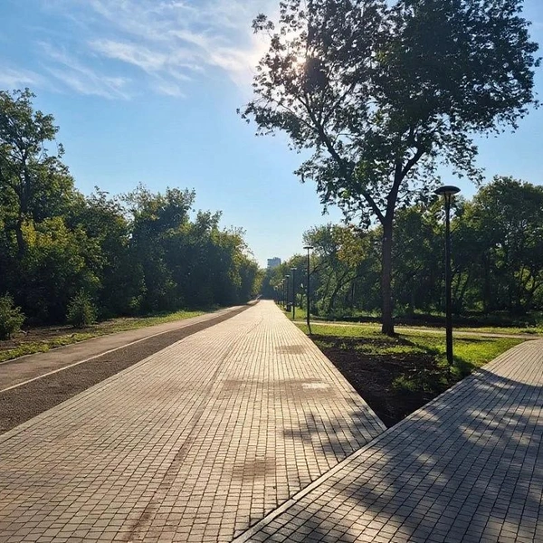 Источник: Администрация Барнаула