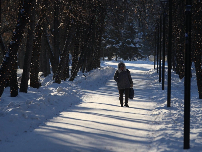 В Первомайском сквере уже несколько дней горят гирлянды, создавая новогоднюю атмосферу. | Источник: Андрей Бортко / NGS.RU