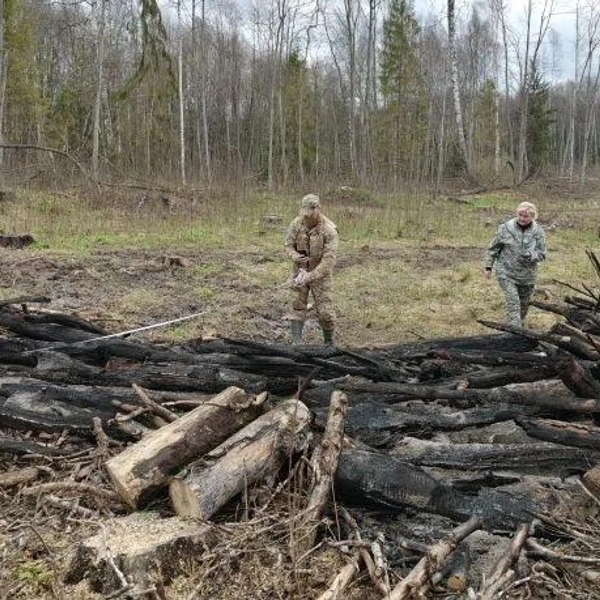 Распространение пламени удалось предотвратить | Источник: Министерство природопользования ЯО / Vk.com