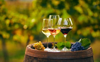 Красное и белое: топ-20 стран мира по объему потребления вина (инфографика)