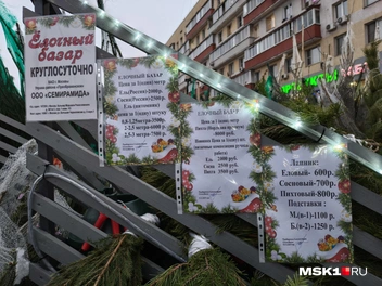 Источник: Серафима Путиева / MSK1.RU