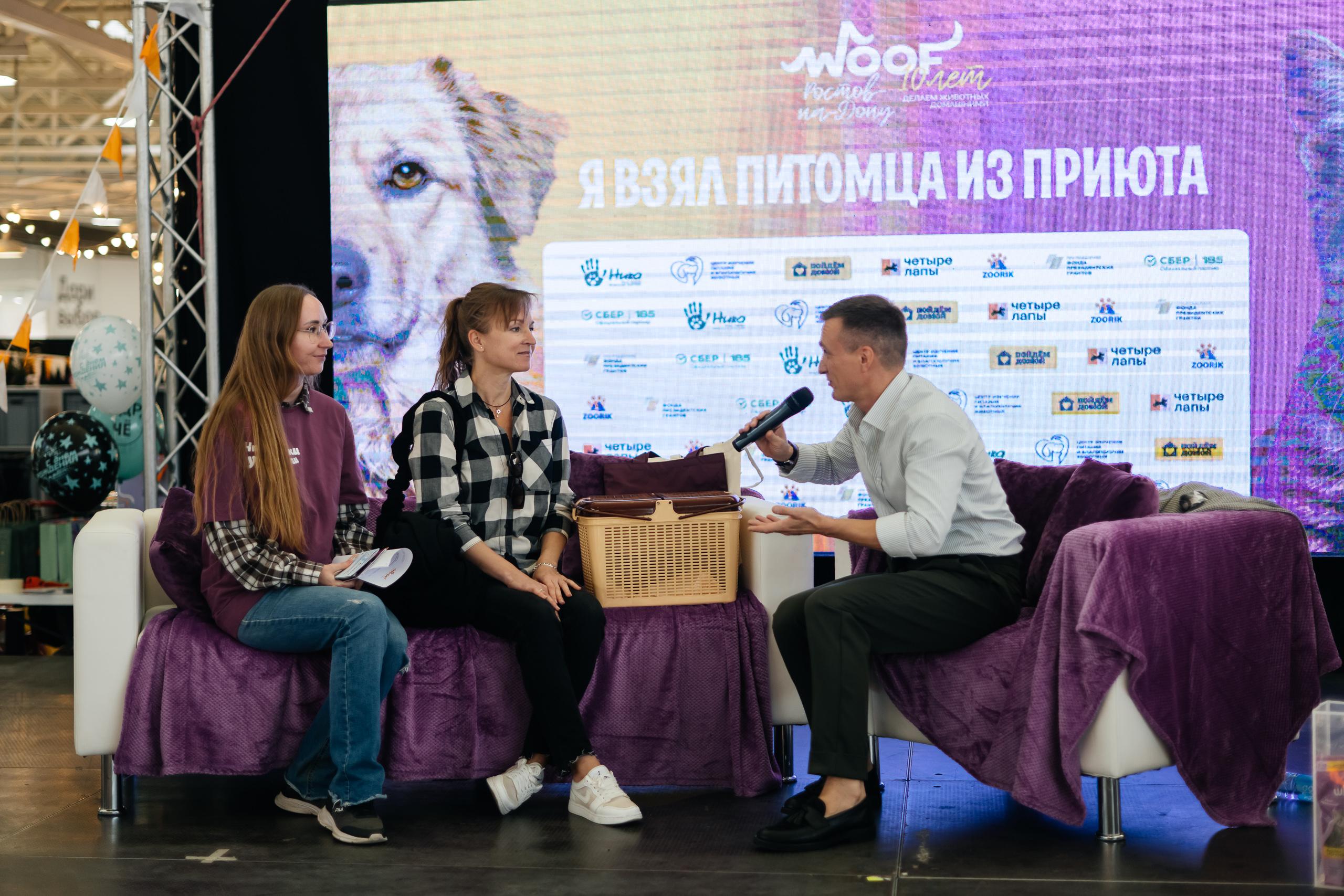 «Не могут забыть эти глаза и забирают». Ростовчане взяли 95 животных из приютов на фестивале: показ…