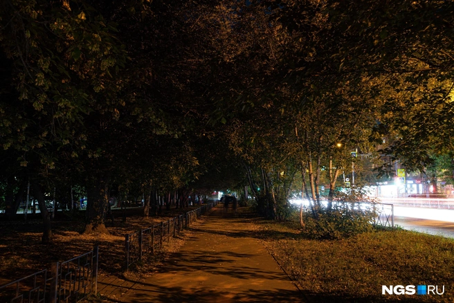 Итоги дня | Источник: Александр Ощепков / NGS.RU