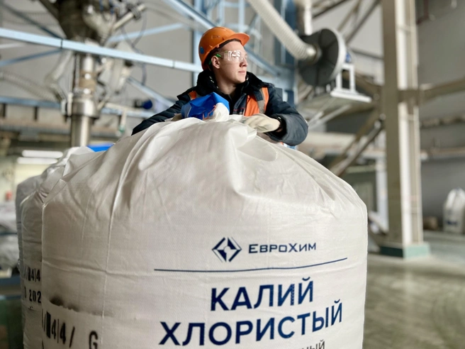 Источник: Светлана Иванова