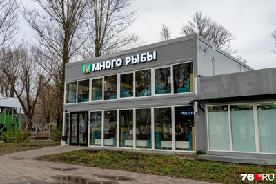 В Ярославле владелица кафе борется за пристройку в парке