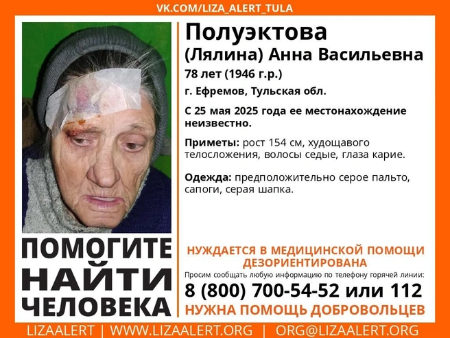 Ориентировка на пропавшую тулячку | Источник: Поисковый отряд «ЛизаАлерТ» Тульской области / ВКонтакте