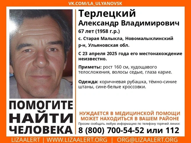 Он нуждается в медицинской помощи | Источник: vk.com/la_ulyanovsk