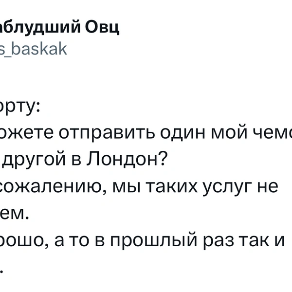 Источник: X (Twitter)