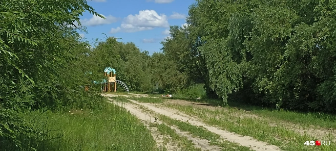 Некоторые загорают прямо на песочке под ивами | Источник: Анна Сарапульцева / 45.RU
