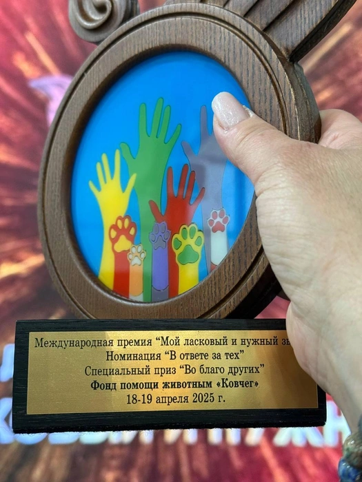 Статуэтка, которой отметили ставропольцев | Источник: Ирина Газарян
