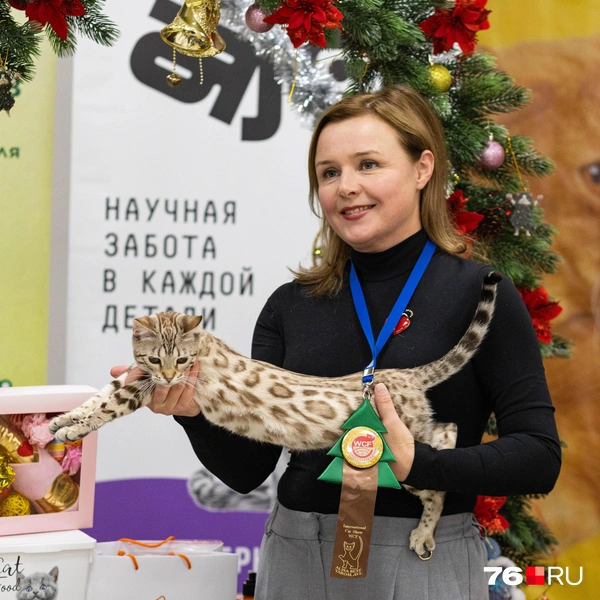 Некоторые из питомцев Анны заняли призовые места | Источник: Артем Бауман / 76.RU