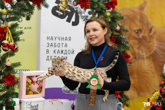 Награды на выставках положительно влияют на презентацию питомца для разведения породы | Источник: Артём Бауман / 76.RU