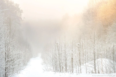 Морозное землетрясение встревожило жителей Финляндии